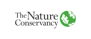 The Nature